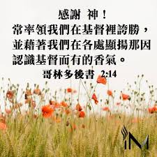 Related image