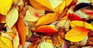 Oct 10, 2021 · яке сьогодні свято 10 жовтня: 3uaszgttjdrgbm