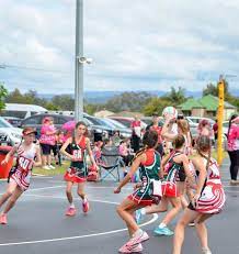 Sandgate Hawks Falcons Winners Junior 4b Sandgate Hawks Netball Club Inc Facebook