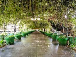 Which makes me feel a little sad. Garin Farm San Joaquin Iloilo 2021 Travel Guide The Queen S Escape
