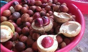 Jangan remehkan khasiat buah yang satu ini ya, manfaat buah pala untuk kesehatan, termasuk pengobatan kronis seperti diabetes dan hepatitis yang bisa membahayakan tubuh ternyata memang. Budidaya Tanaman Porang Buah Pala Dan Produknya