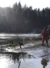 In this photo provided by the california department of fish. Northern California Fishing Report For February 20 2019 Smith River Steelhead