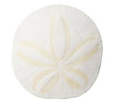 Cover your walls with artwork and trending designs from independent artists worldwide. Oversized Sand Dollar Wall Decor Pottery Barn