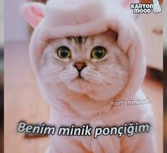Ece Adli Kullanicinin Moodumbu Panosundaki Pin 2020 Komik Tumblr Komik Seyler Bff Sozleri