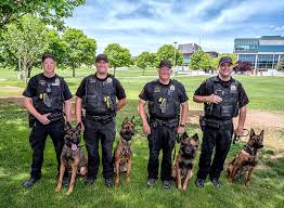 Maybe you would like to learn more about one of these? Prescott Valley Police Department To Introduce Four New K9s Signals Az
