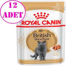 royal canin british shorthair yetiskin kedi konservesi 85 gr 12 ad amazon pet center kedi adlar amazonlar
