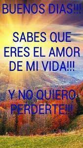 Eres la mujer más importante de mi vida haces que mis días sean maravillosos junto a ti quiero pasar el resto de mi vida, te amaré por siempre mi esposita. Amor Mio Tu Tambien Eres El Amor De Mi Vida Te Amo Romantic Quotes Quotes Love