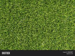 Green grass on white background. Green Carpet Texture Image Photo Free Trial Bigstock