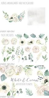 Watercolor White Flowers Clipart Watercolor Flower Illustration Floral Watercolor Blossoms Art