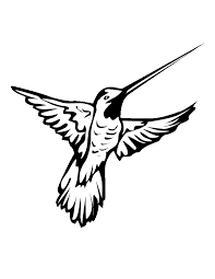 15 hummingbird clip art free stock black and white professional designs for business and education. Imgs For Gt Hummingbird Clipart Black And White Clipart Black And White Clip Art Black And White
