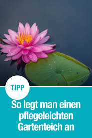So Baust Du Einen Pflegeleichten Gartenteich Gardena Gartenteich Teich Garten