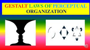 Gestalt laws of perceptual organization. Gestalt Laws Of Perceptual Organization Psychology Youtube