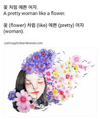 Easy Korean Grammar Woman Like A Flower Korean Language Learn Korean Korean Language Learning