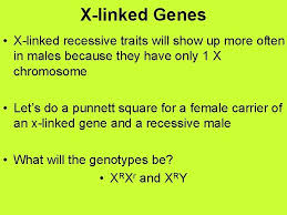 Because the gene controlling the trait is located on the sex chromosome, sex linkage is linked to the gender of the individual. Human Genetics Patterns Of Inheritance For Human Traits
