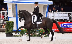 Is your network connection unstable or browser. Edward Gal En Glock S Undercover Nederlands Kampioen Stegen Net