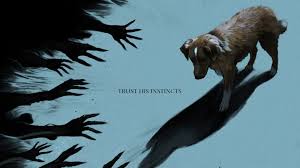 Ava villain ts porn service was not up to par and there was