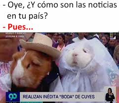 Y Comieron Cuyes Asados Memes Graciosos Memes Divertidos Memes Chistosisimos
