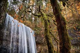 Fall asleep to the crashing of waterfalls at silver falls state park—the biggest state park in oregon. 13 Best Hikes Near Salem Oregon Territory Supply