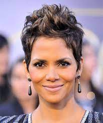 Halle Berry Hairstyles Halle Berry Hairstyles Dark Brunette Hair Halle Berry Short Hair
