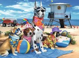 Select a picture for your jigsaw puzzle, fill out the puzzle options and click on the create puzzle button. No Dogs On The Beach Children S Puzzles Jigsaw Puzzles Products No Dogs On The Beach