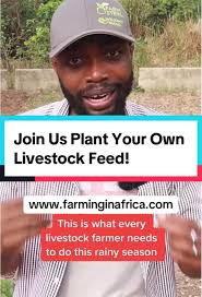 Join Us to Plant Your Own Livestock Feed
