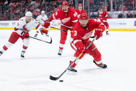 Select other red wings bernier, jonathan biega, alex brome, mathias dekeyser, danny djoos, christian erne, adam fabbri, robby filppula, valtteri gagner, sam glendening, luke greiss, thomas helm, darren hronek, filip larkin, dylan mantha, anthony merrill, jon namestnikov. Detroit Red Wings Alex Biega A Major Promoter Of Life After Hockey For Nhl Players