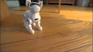 Like teksta 's facebook page and you could win one of 10 teksta the robotic puppies. Tekno The Robotic Puppy Robot Supremacy Wiki Fandom