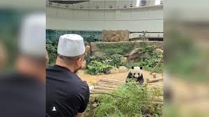 Cara mohon bantuan ebit lew tahun 2021 semasa pkp 3.0 covid 19 di malaysia dengan minta pertolongan dengan ustaz ebitt liew segera. Menunjuk Nunjuk Ada Sebab Ustaz Ebit Lew