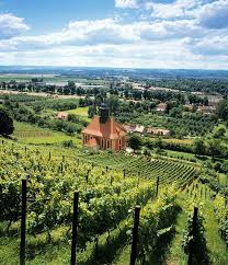 Gorgeous Vineyards Across The Globe Pillnitzer Koniglicher Weinberg Pillnitz Sachsen Germany Wonders Of The World Places To Go Travel Spot