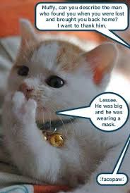 #cat meme #gaming #media #meme #pokemon #piplup #gen 4 #sinnoh #poffins #lol #funny #funny pics #funny memes #so many tags #i was #cat #cats #cat memes #cat meme #cat pics #cat pictures #cats of tumblr #cats of instagram #2020 #2020 memes #mostlycatsmostly #personal. Kitteh Doesn T Have 2020 Lolcats Lol Cat Memes Funny Cats Funny Cat Pictures With Words On Them Funny Pictures Lol Cat Memes Lol Cats