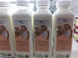 Camel's milk it the kind of milk that does not curdle, at least not on its own. My Supermarket Sells Camel Milk Mildlyinteresting