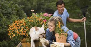 Give a small potted plant (real or fake) in a pot engraved with their pet's image. Which Flowers Are Poisonous To Dogs Pet Owners Beware