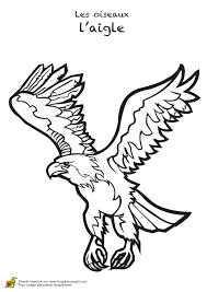 page 12 sur 14 hugolescargot com dessin aigle croquis coloriage voiture
