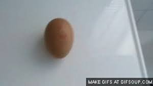 Share the best gifs now >>>. Gif Oeuf Ei Egg Animated Gif On Gifer By Ianlen