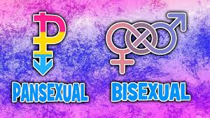But when sexual stuff comes up im really awkward and uncomfortable. What S The Real Difference Between Pansexual Bisexual Pansexuality Vs Bisexuality Youtube