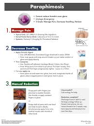 Image result for paraphimosis