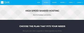 Ssd Website Hosting In Hong Kong Hong Kong Ssd Hosting By Internet Solutions Hk Wp Themes Wordpress Tricks Hosting