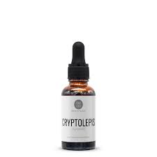 Image result for Cryptolepis products