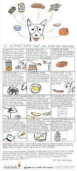 Pin On Food For Corgi And Other Dogs