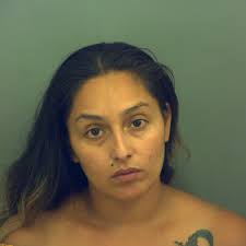 Update: Dogs, drugs, weapons, money seized in east El Paso shooting incident