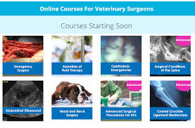 We did not find results for: Online Veterinary Cpd Courses