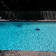 Home depot hours of operation may vary by store, so we've collected them in one convenient location to help you find your nearest home depot store and its opening hours to make your shopping trip easier. Home Depot 31 45 Muriatic Acid Trouble Free Pool