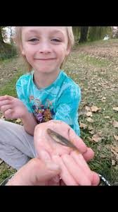 Galaxias pretty cool fish like the Australian native version of a trout