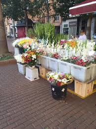 Floristeria San Juan