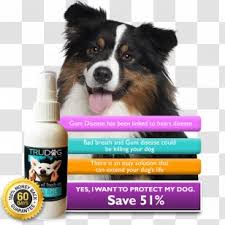 Available for 4 easy payments. Dog Breed Australian Shepherd German Miniature American Kelpie Group Transparent Png