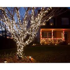 Fairy Lights White Light Walmart Com Christmas Lights Outside Outdoor Christmas Lights Outdoor Christmas