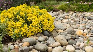 How can i prevent soil erosion in an easy and simple way? Preventing And Managing Soil Erosion In Your Yard Gilmour