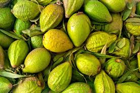 Neben der verwendung von arganöl auf ihrer haut und ihren haaren können sie es auch essen, um seine nahrhaften gesundheitlichen vorteile zu nutzen…. Alles Geschmeidig Arganol Gibt Reifer Haut Neue Spannkraft Five Skincare