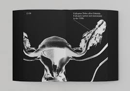 Image result for Sexual History