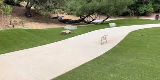 K9grass, artificial grass designed specifically for dogs, offers superior drainage, cleanliness, and a beautiful appearance. Eagle Rock Dog Park K9grass By Foreverlawn